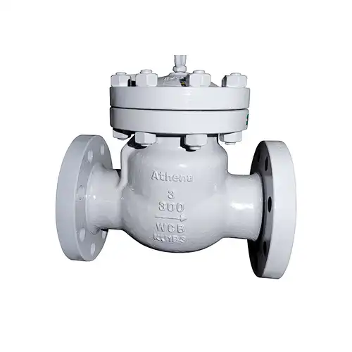 Check Valve