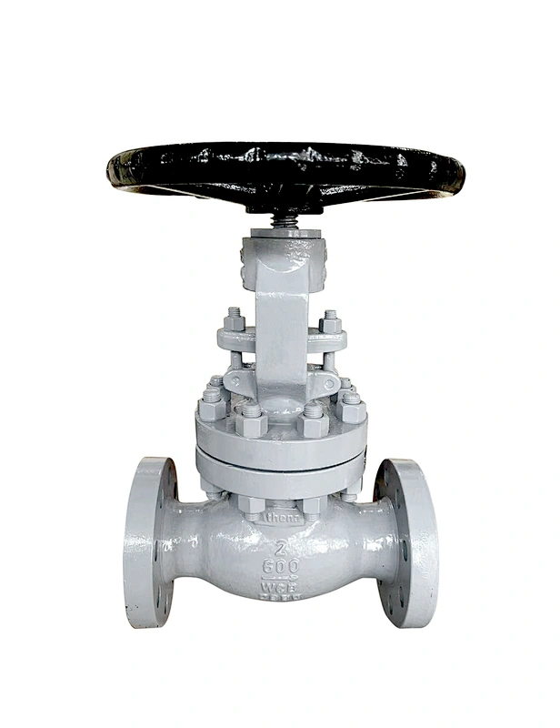 Globe Valve